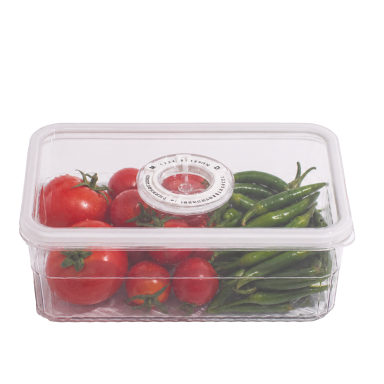 Freezer Safe Containers