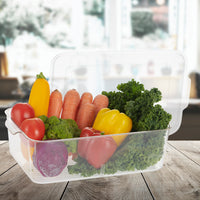 Organiser Tray 5500ml 1pc | Multipurpose Kitchen Storage Tray